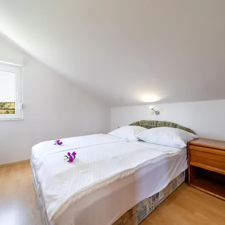Apartment Visnja