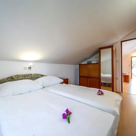 Visnja Apartment *