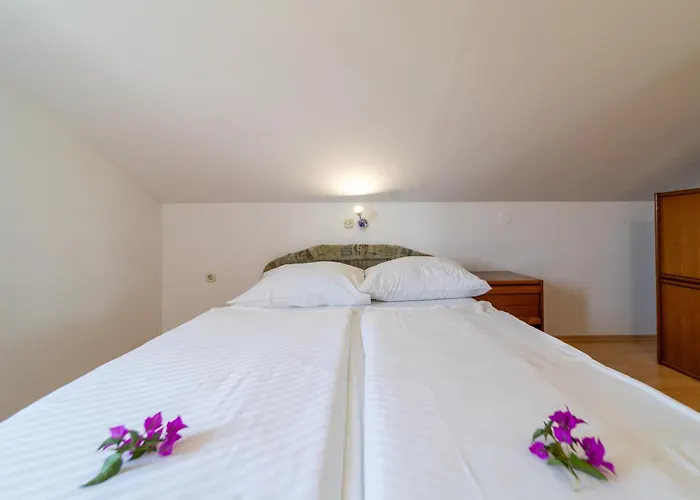 Visnja Apartament