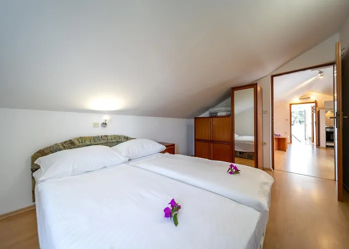 Visnja Apartman *